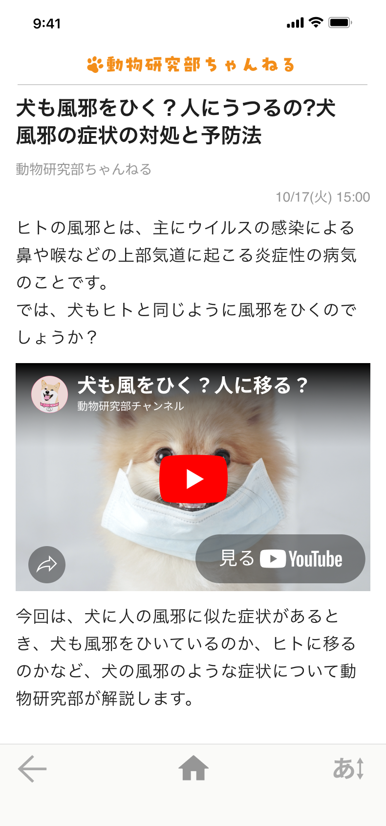 ニュースライト・auサービスTodayでの表示イメージ